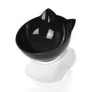 Pet Double Cat Bowl With Raised Stand