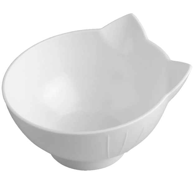 Pet Double Cat Bowl With Raised Stand